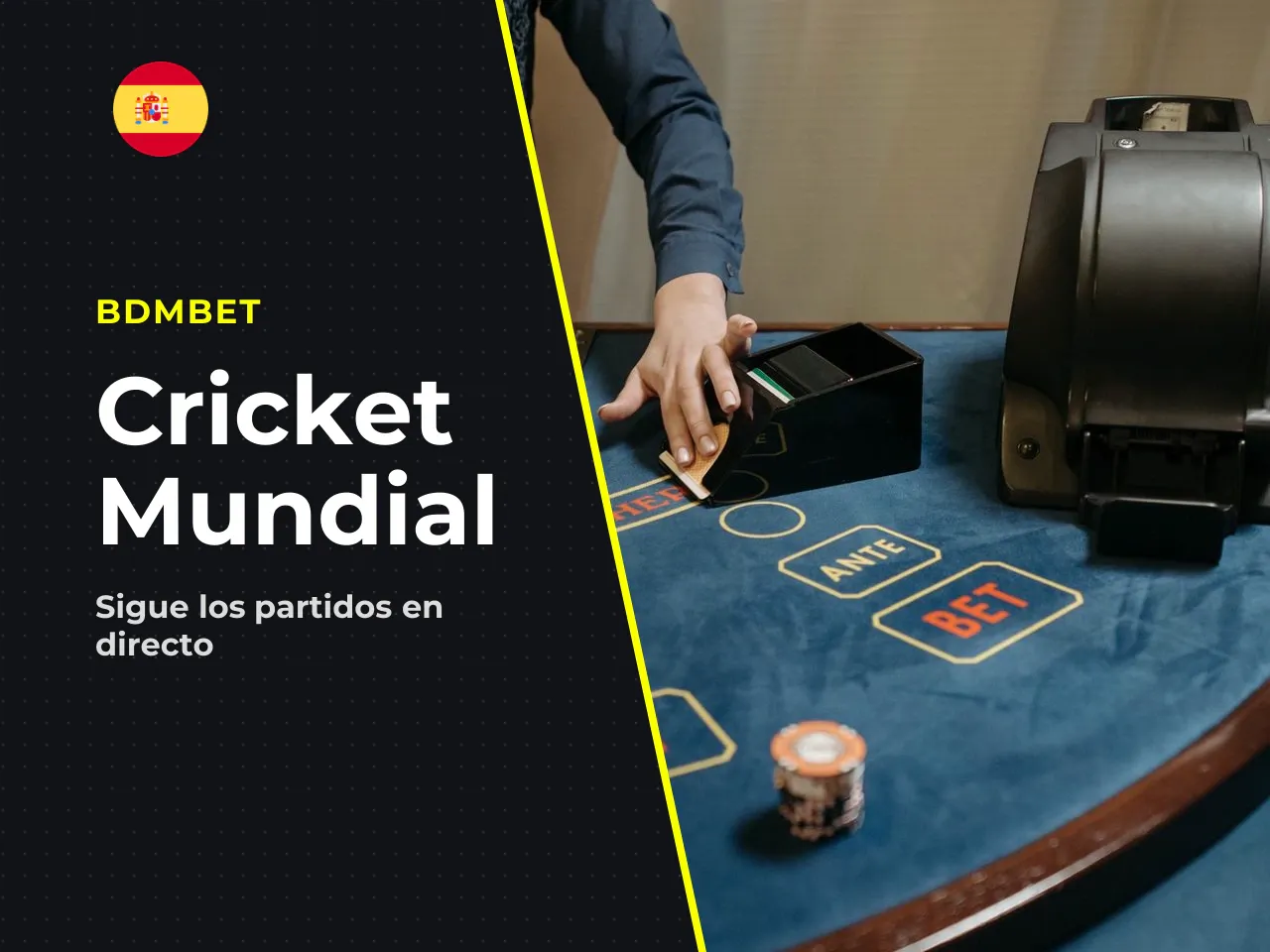 ICC, World Cup y T20 World Cup: cobertura en 2026. La cobertura relevante de la ICC, el World Cup y el T20 World Cup se reconoce porque permite navegar entre partidos, consultar fixtures y comparar cr