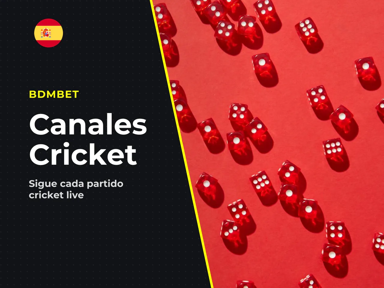 Aplicaciones y canales para seguir el cricket en directo. Existen tres tipos principales de herramientas para seguir el cricket live, y cada una cubre una necesidad distinta: 1. **Agregadores de marca